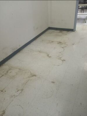 Before & After Commercial Floor Cleaning in Concord, CA (1)