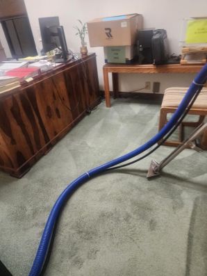 Carpet Cleaning in Castro Valley, CA (5)