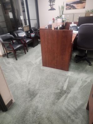 Carpet Cleaning in Castro Valley, CA (6)