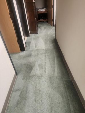Carpet Cleaning in Castro Valley, CA (4)